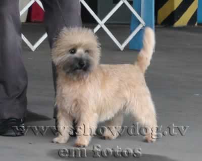 Clique sobre a foto para fechar